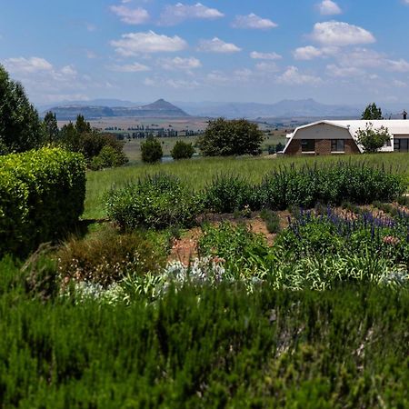 Lavender Hill Country Estate And Wedding Venue Guest House Bethlehem Exterior photo