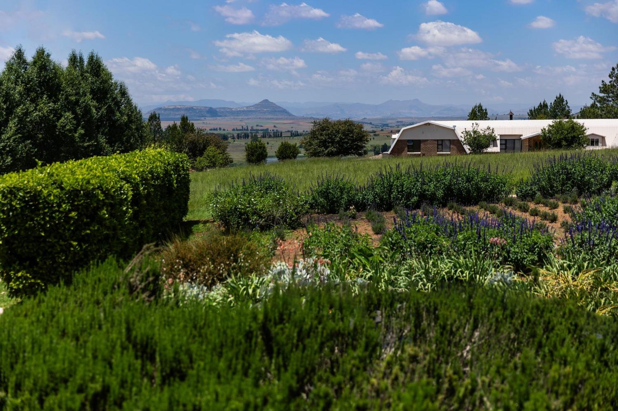 Lavender Hill Country Estate And Wedding Venue Guest House Bethlehem Exterior photo