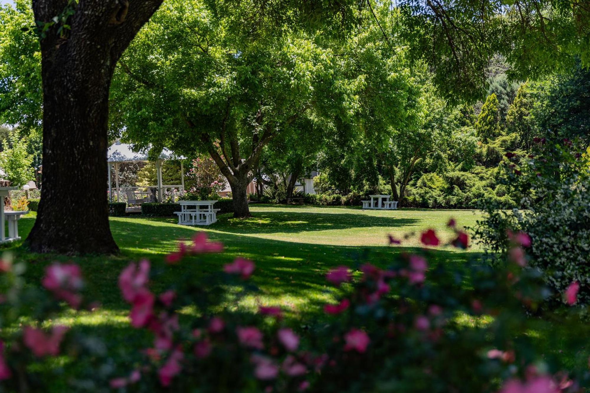 Lavender Hill Country Estate And Wedding Venue Guest House Bethlehem Exterior photo